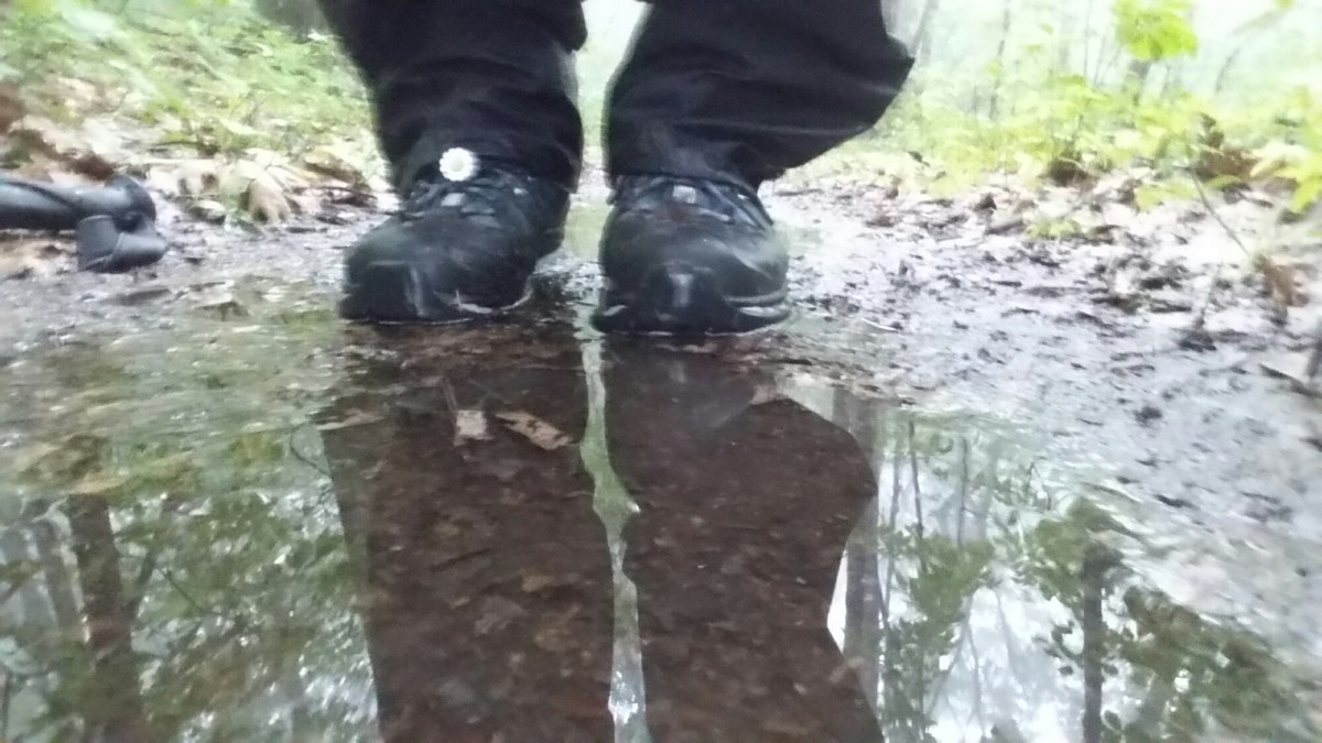 20160806_082441.jpg image