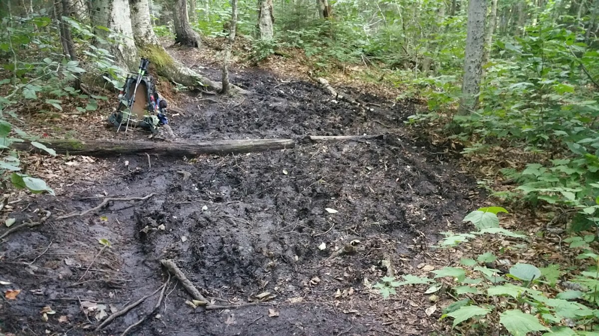 20160809_070519.jpg image