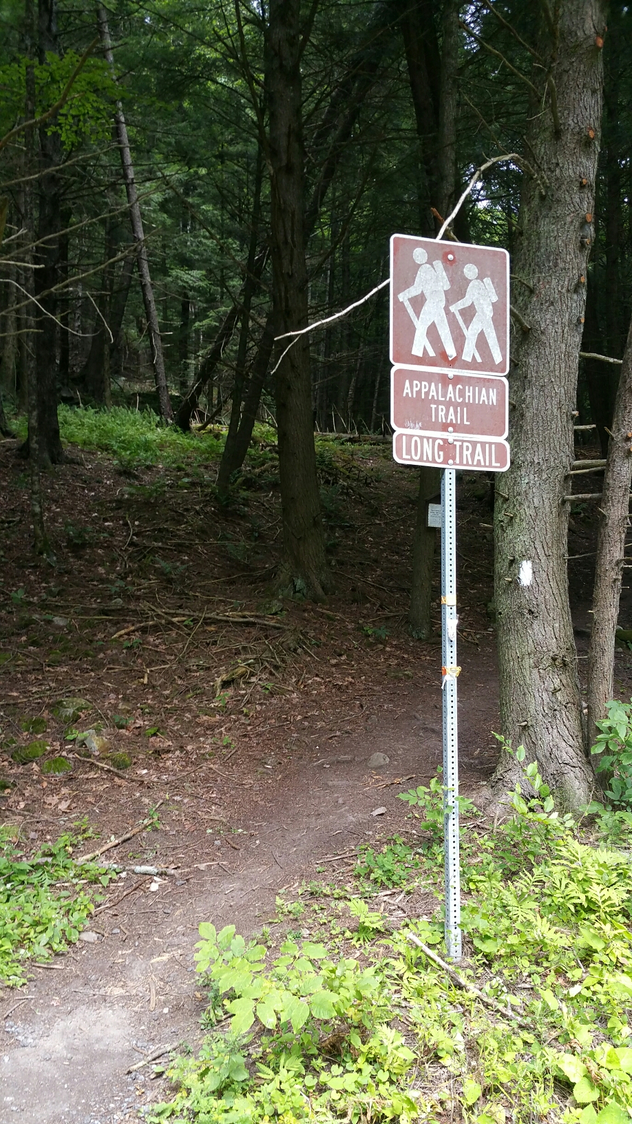 20160812_130027.jpg image