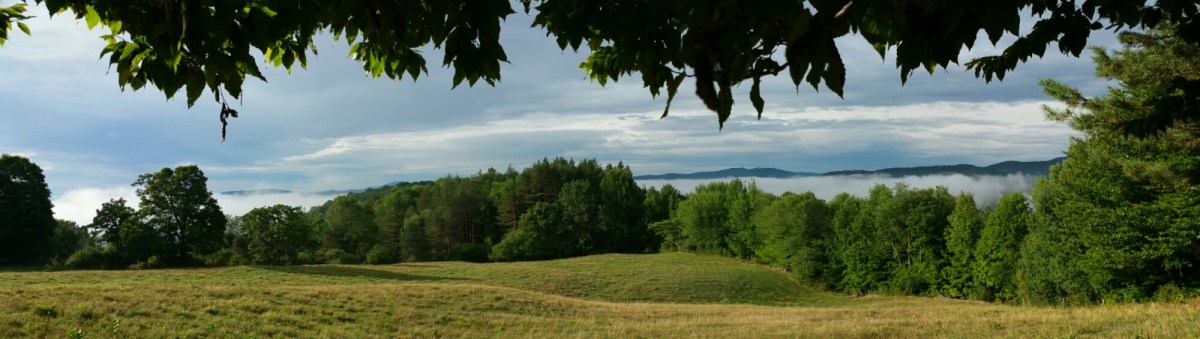 20160816_075834.jpg image