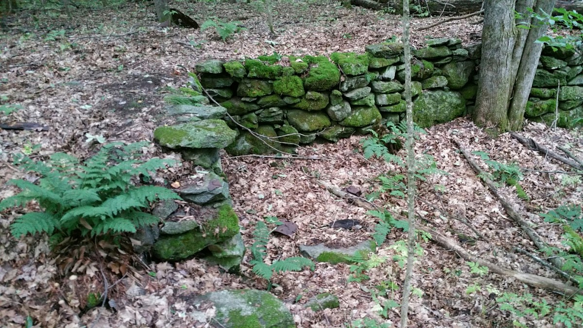 20160818_073839.jpg image