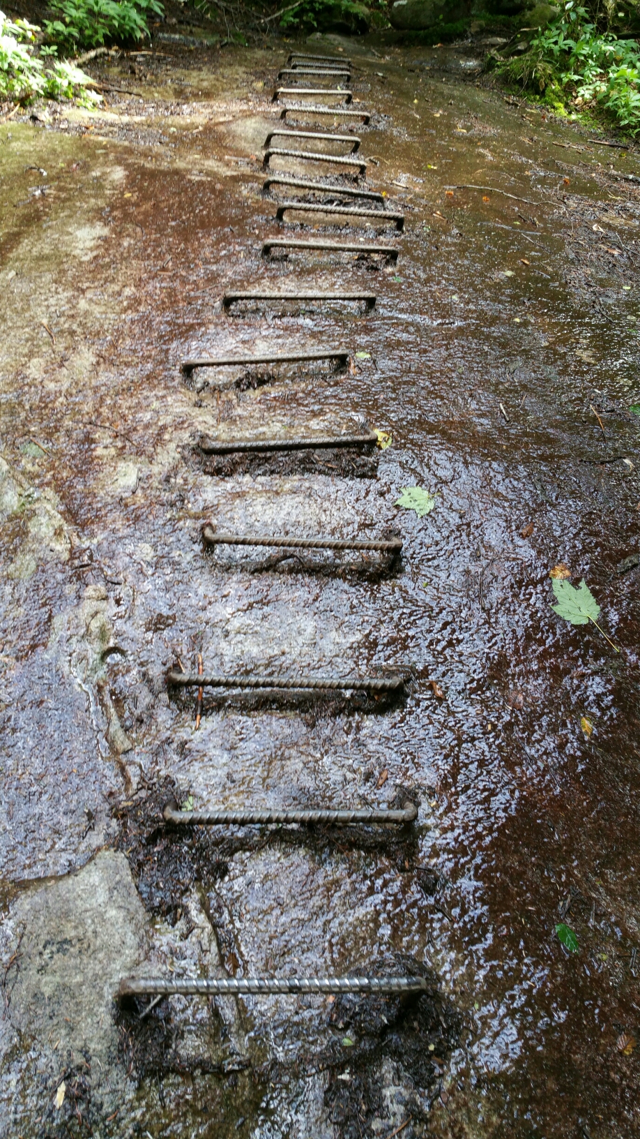 wp-1475251214227 image