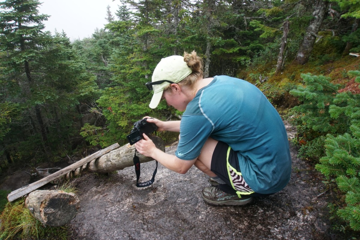 wp-1475270105177 image