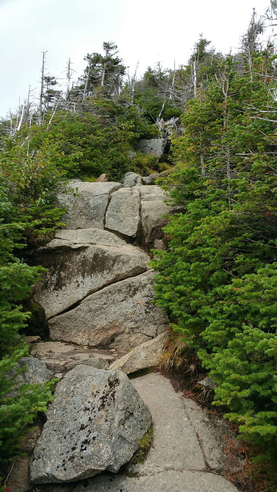 wp-1475270204187 image