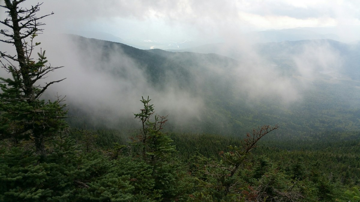 wp-1475270326288 image