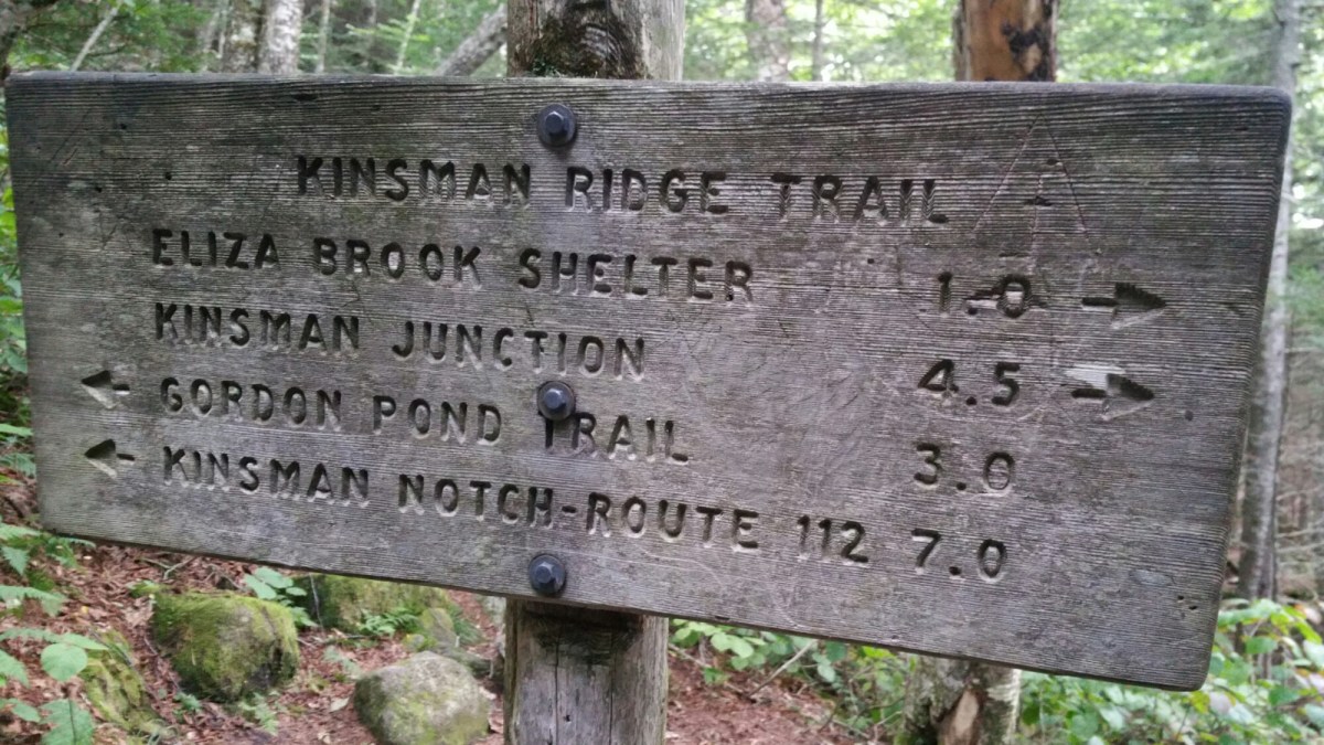 wp-1475270422397 image