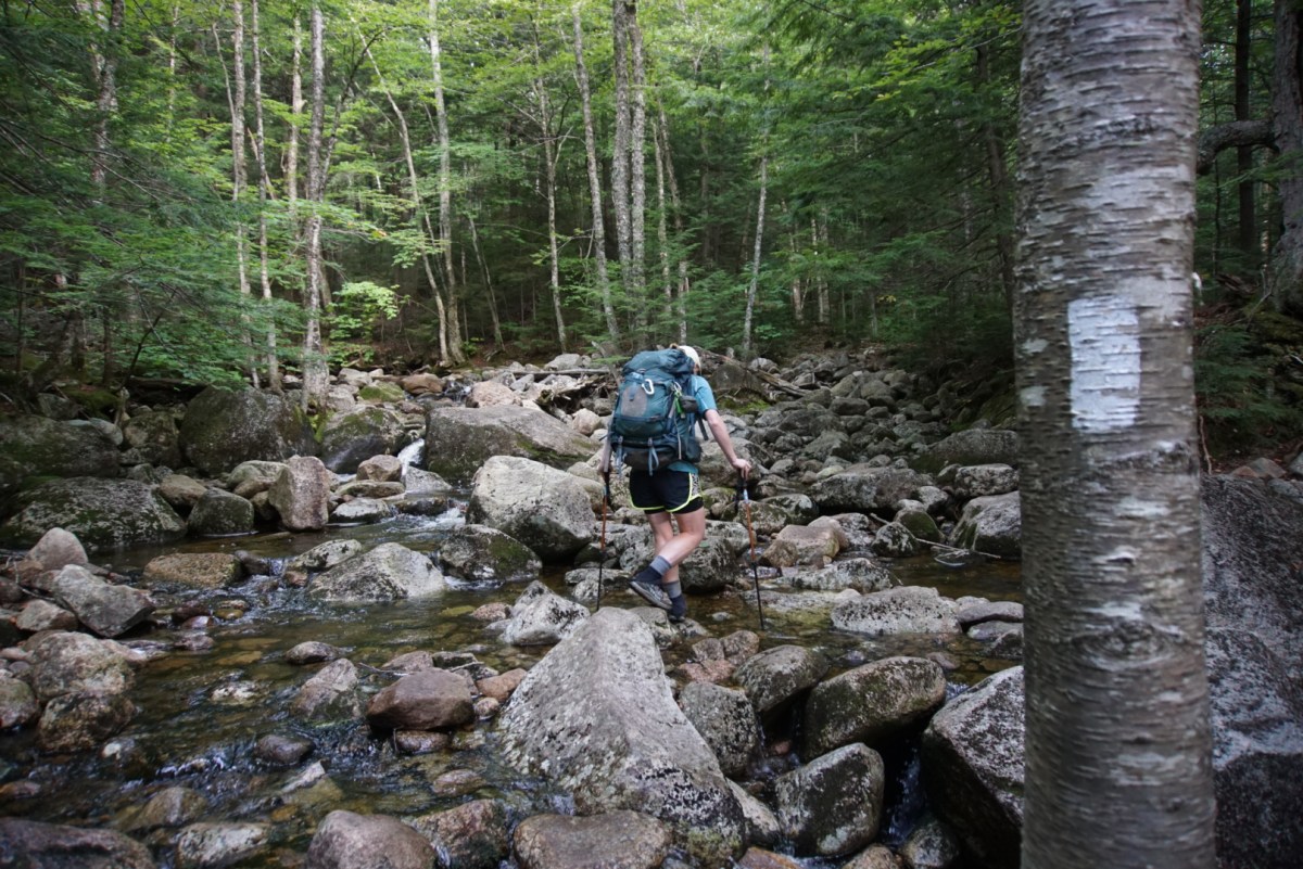 wp-1475270617331 image